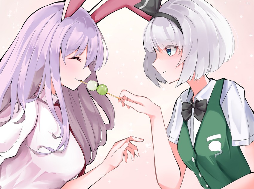 konpaku youmu and reisen udongein inaba (touhou) drawn by 258n