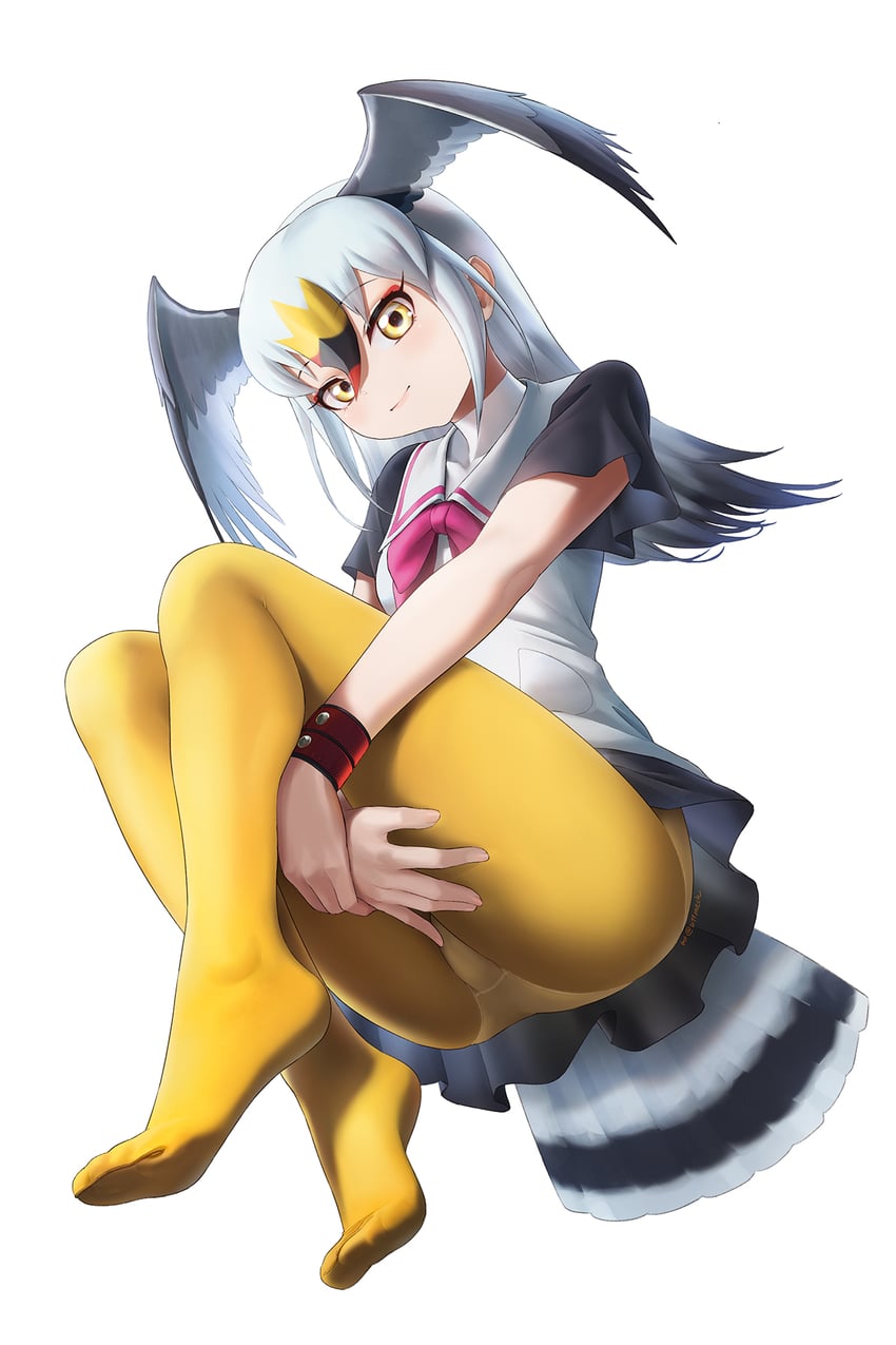 black-tailed gull (kemono friends) drawn by beleven