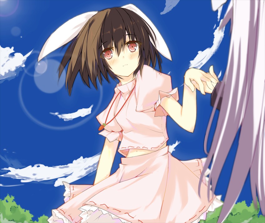 reisen udongein inaba and inaba tewi (touhou) drawn by deanoia