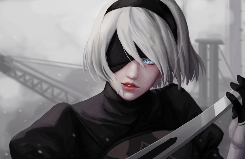 2b (nier and 1 more) drawn by gang_g