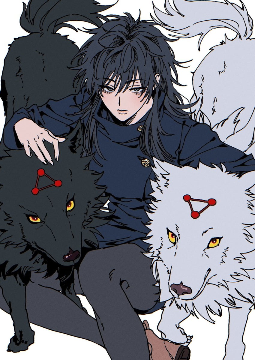 fushiguro megumi and gyokuken (jujutsu kaisen) drawn by mesuki_peropero