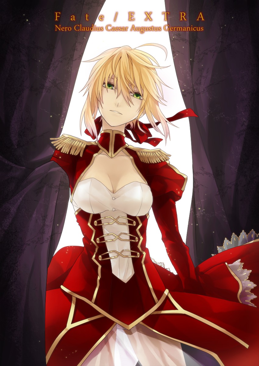 nero claudius (fate and 1 more) drawn by kyo_zip
