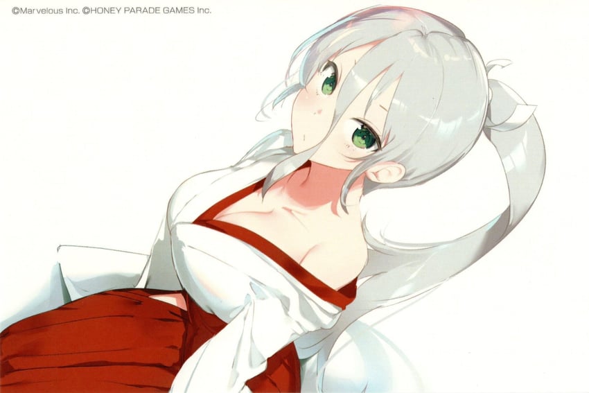 senkou (senran kagura and 1 more) drawn by yaegashi_nan
