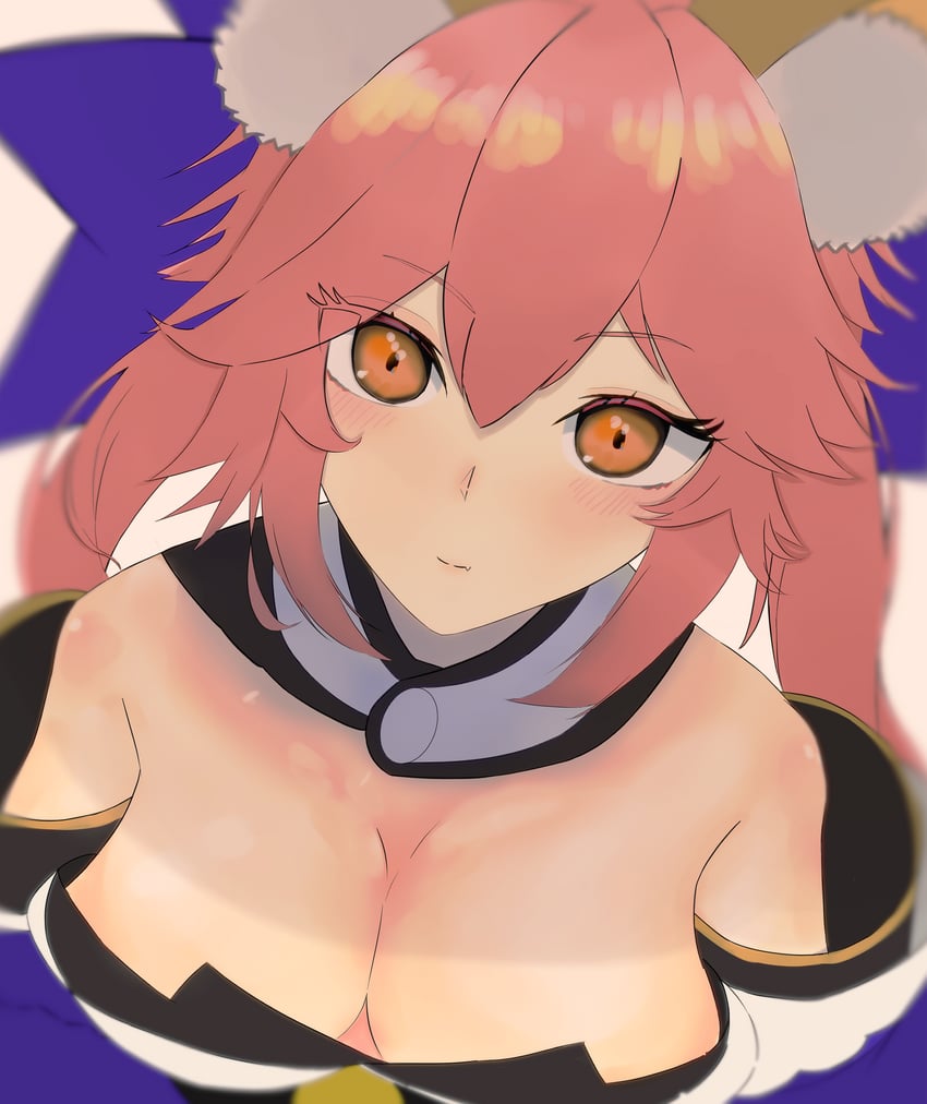 tamamo and tamamo no mae (fate and 2 more) drawn by davinchi_shu