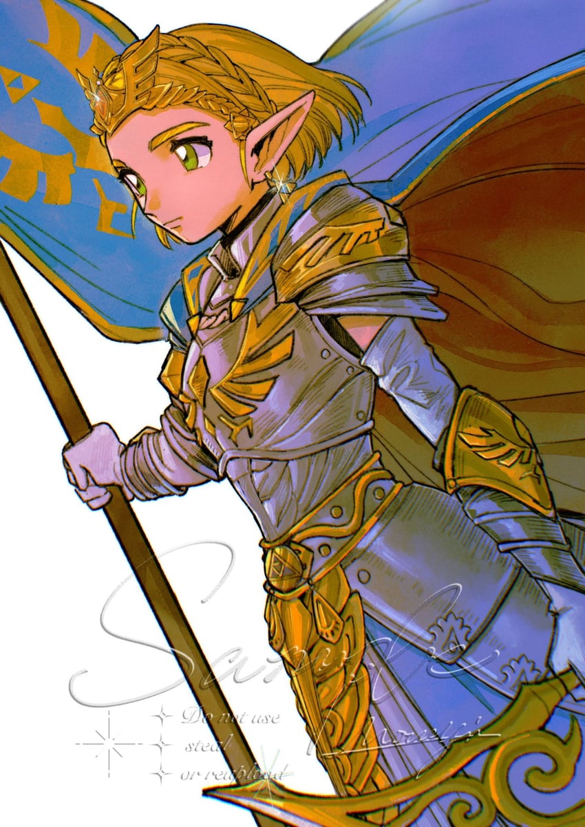 princess zelda (the legend of zelda and 1 more) drawn by mouyi