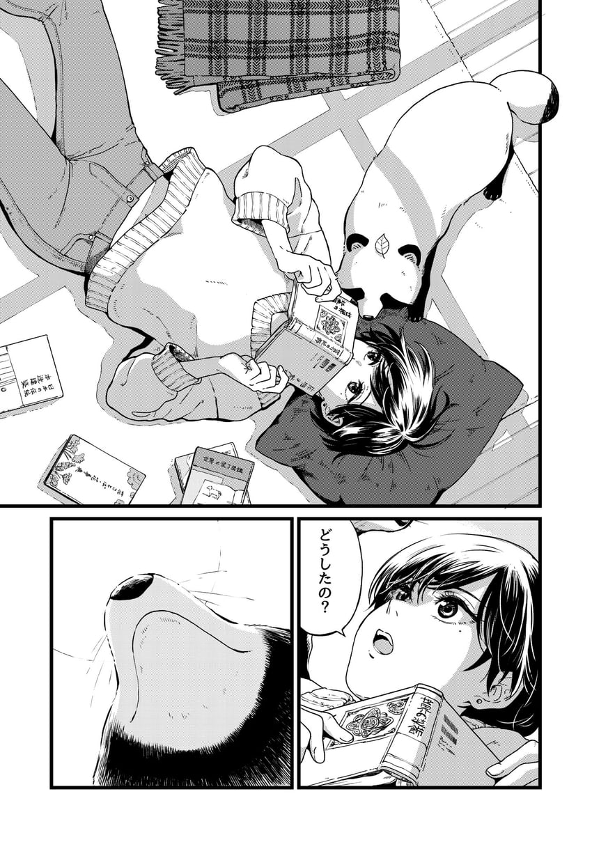 tanuki and fuji (ame to kimi to) drawn by nikaidou_kou