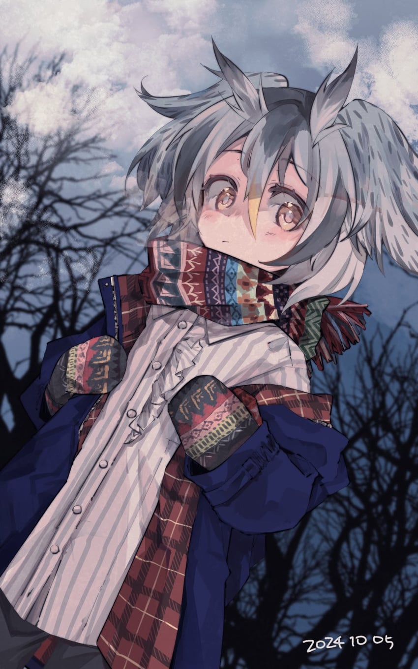 northern white-faced owl (kemono friends) drawn by nanana_(nanana_iz)