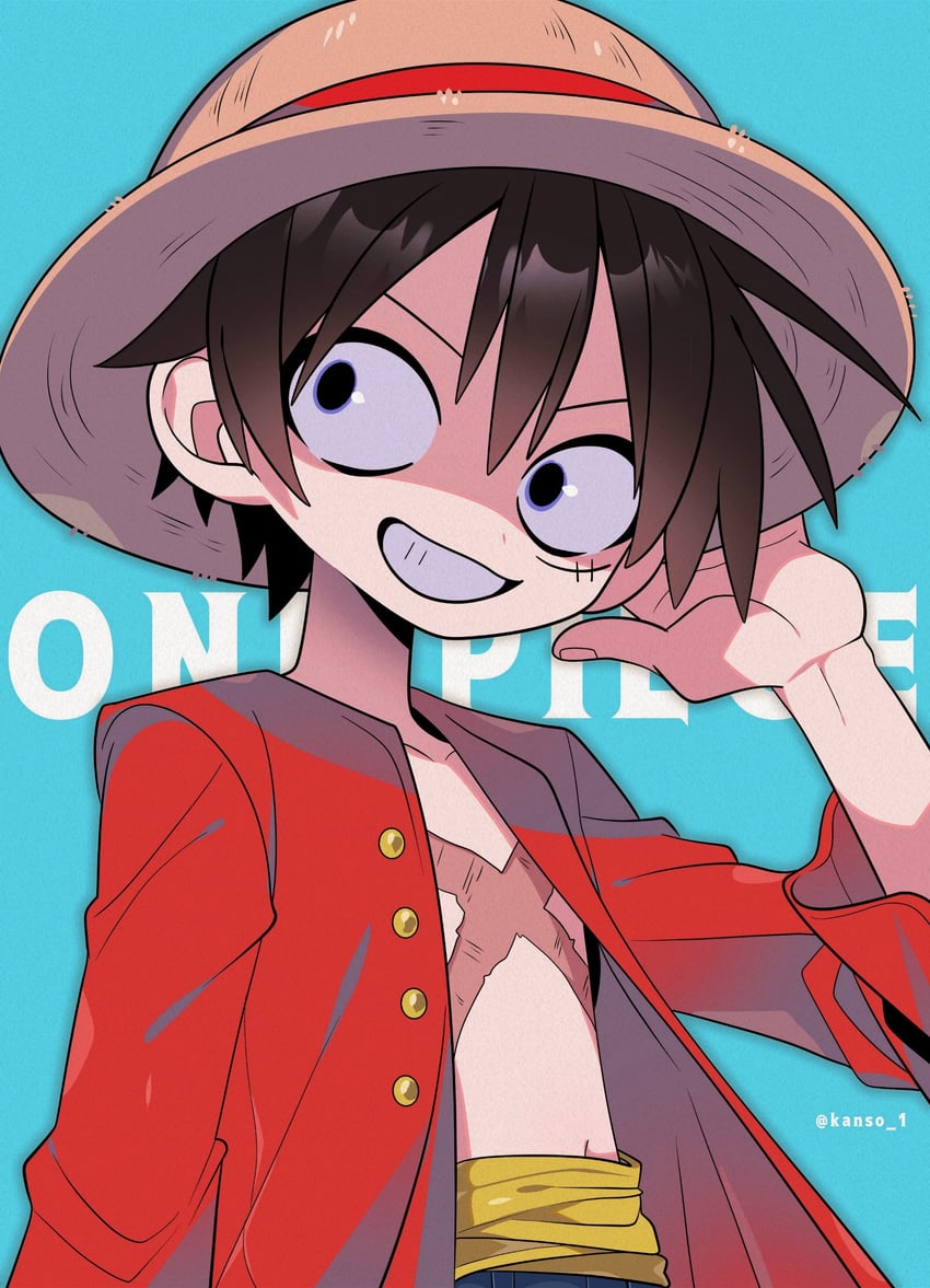 monkey d. luffy (one piece) drawn by kansou_(kanso_1)