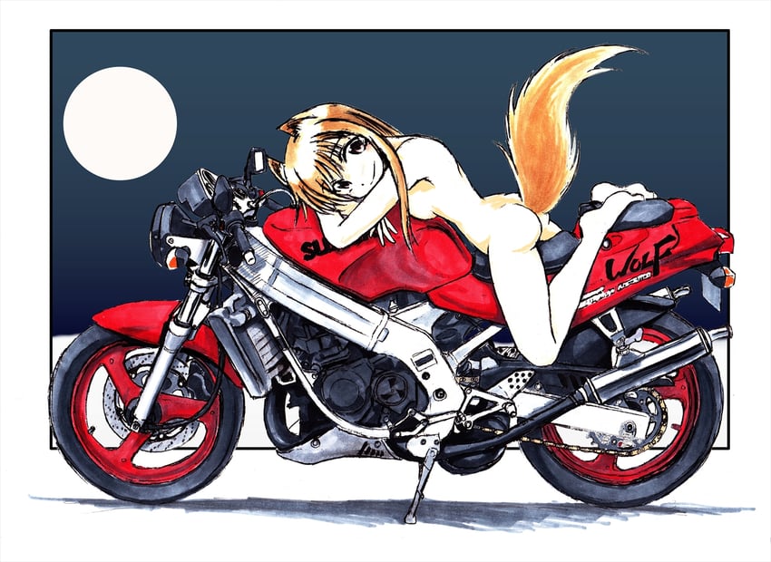 holo (spice and wolf) drawn by nishimiya_makoto