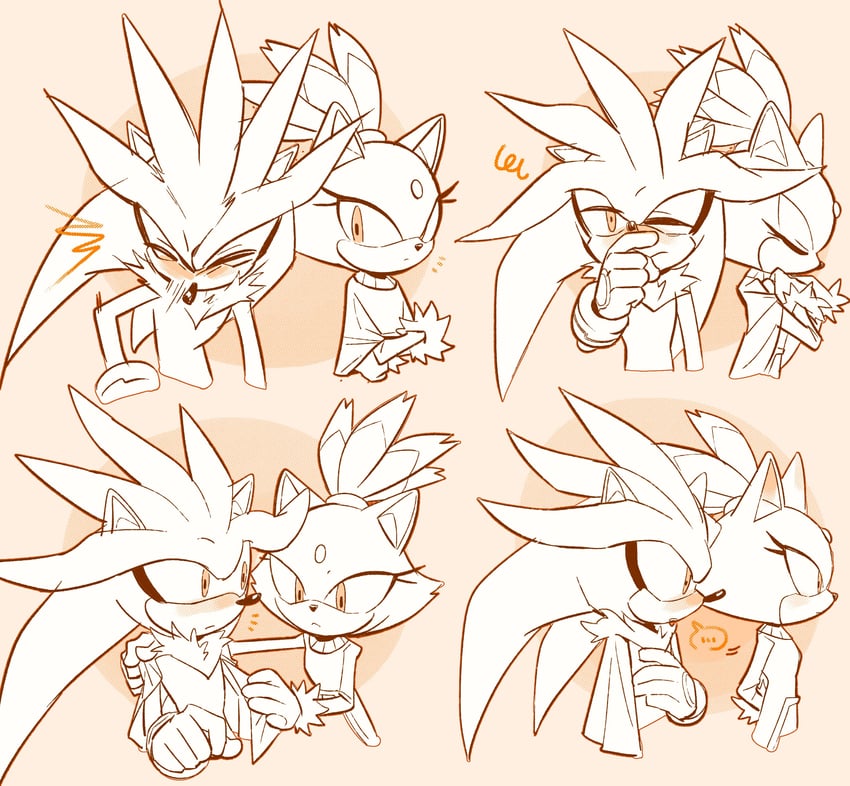 blaze the cat and silver the hedgehog (sonic) drawn by miijiu
