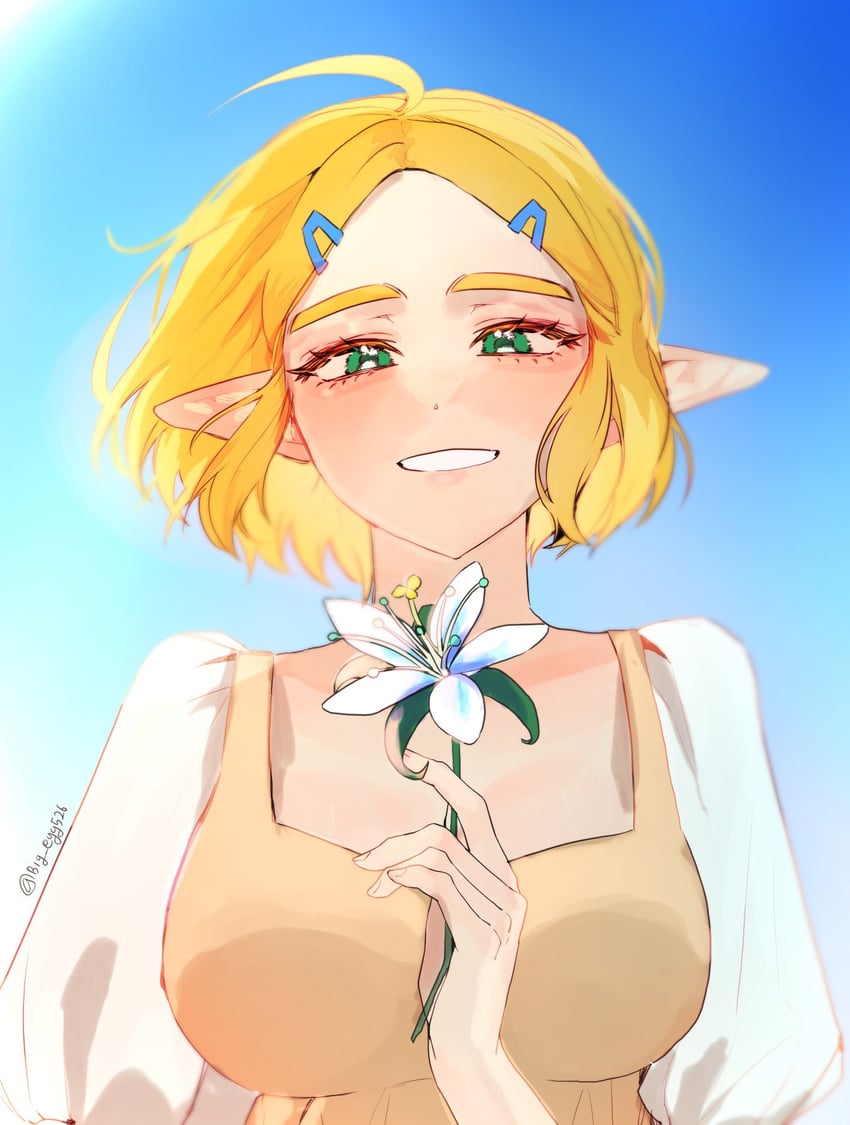princess zelda (the legend of zelda and 1 more) drawn by big_egg526