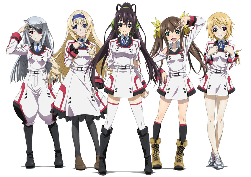 charlotte dunois, cecilia alcott, laura bodewig, shinonono houki, and huang lingyin (infinite stratos)