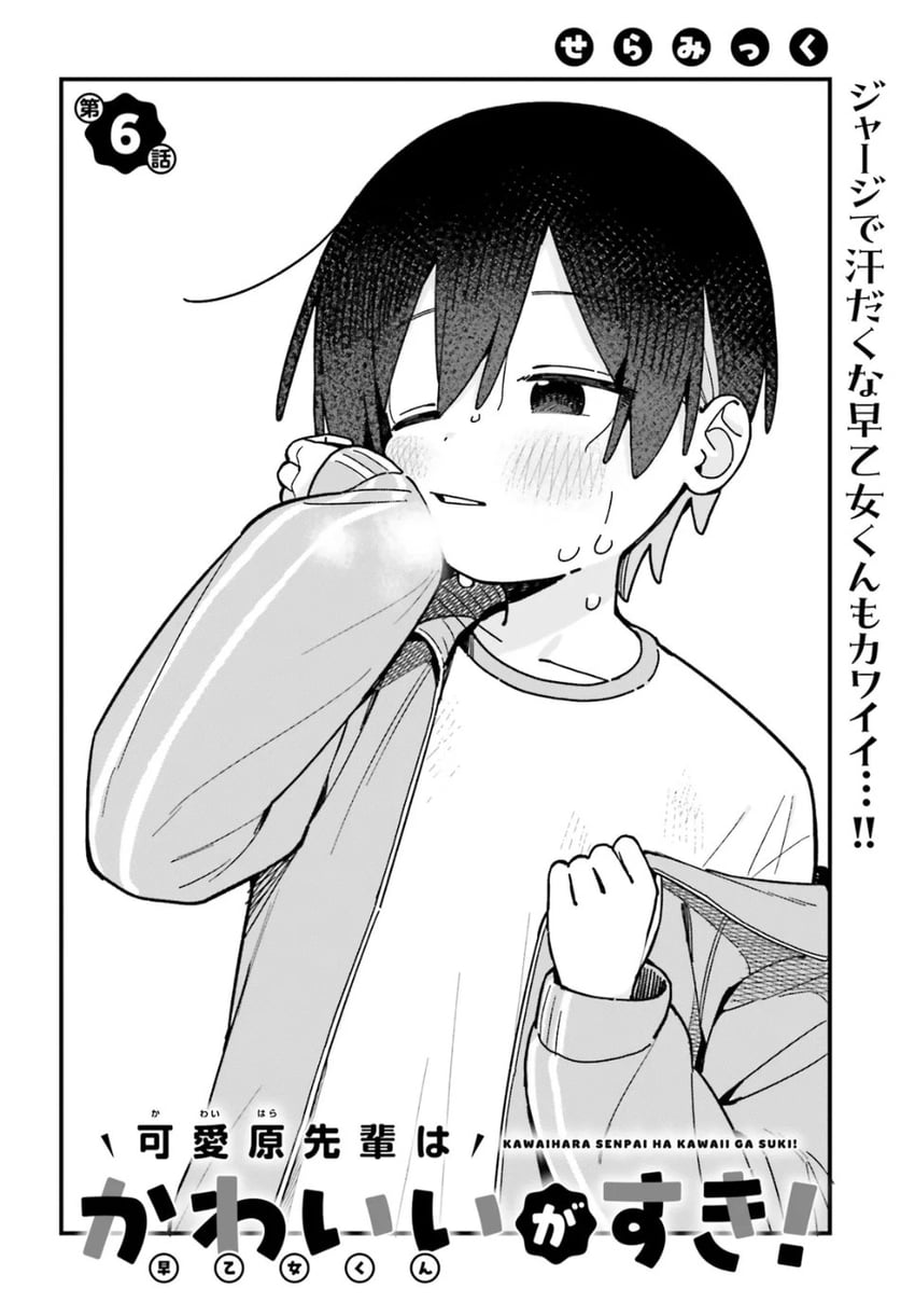 saotome hibiki (kawaihara senpai wa kawaii ga suki!) drawn by seramikku