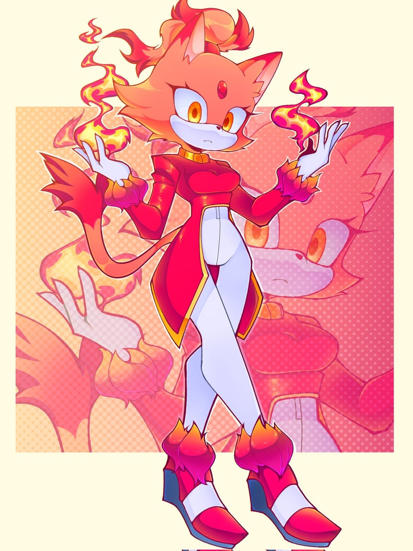 blaze the cat and burning blaze (sonic) drawn by msoceanne
