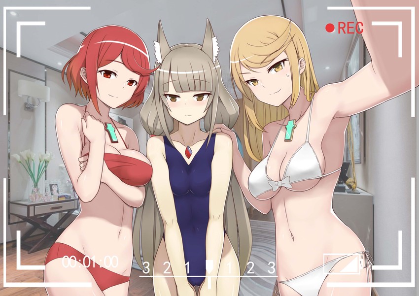 pyra, mythra, and nia (xenoblade chronicles and 1 more) drawn by lan_long_(lazy_dragon)