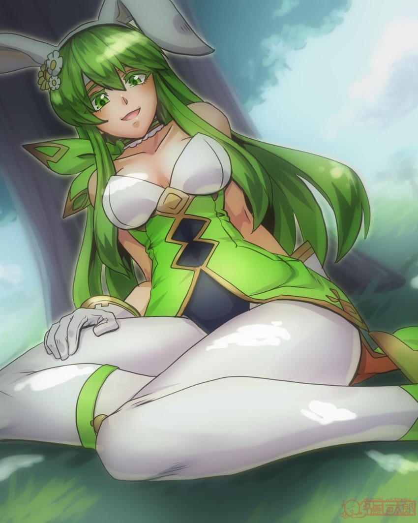 palla (fire emblem and 2 more) drawn by sting_chameleao
