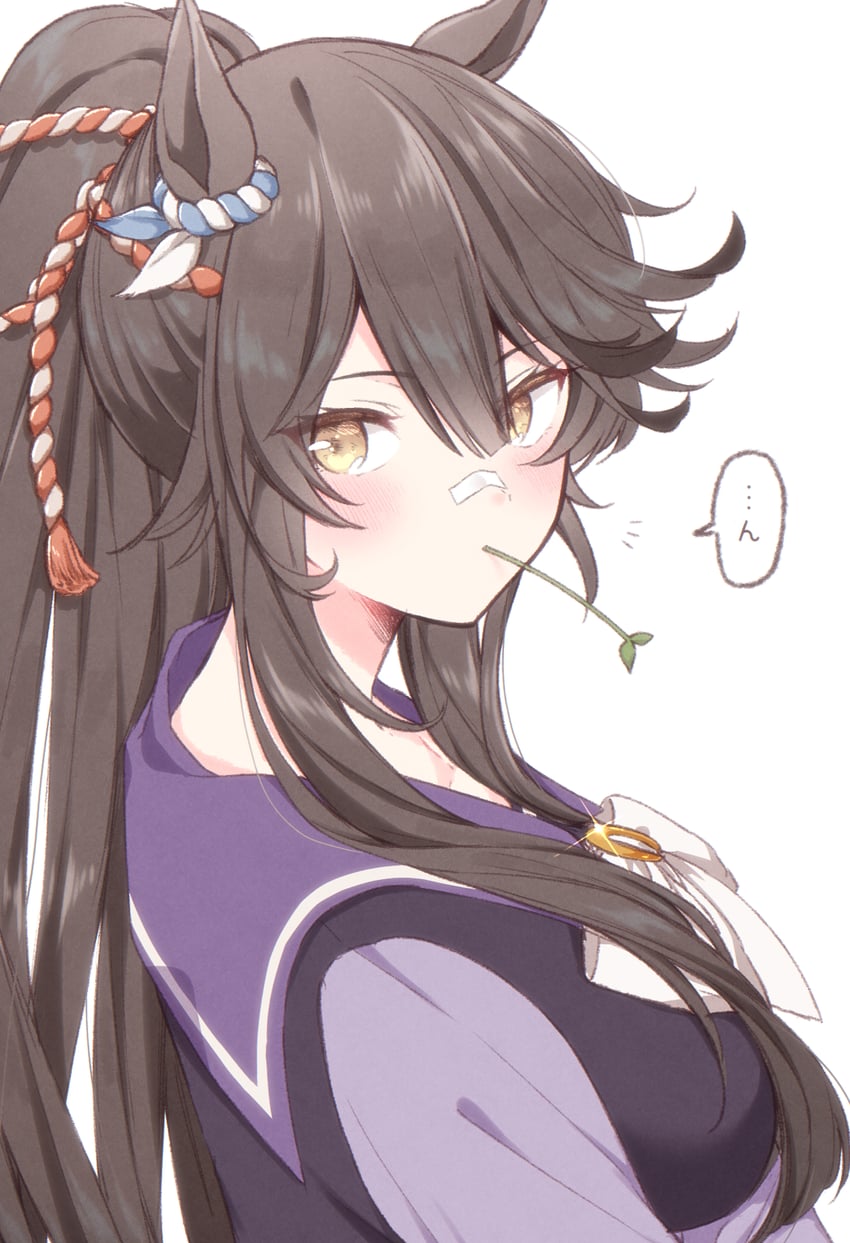 narita brian (umamusume) drawn by tetora_(oudonoishiize)