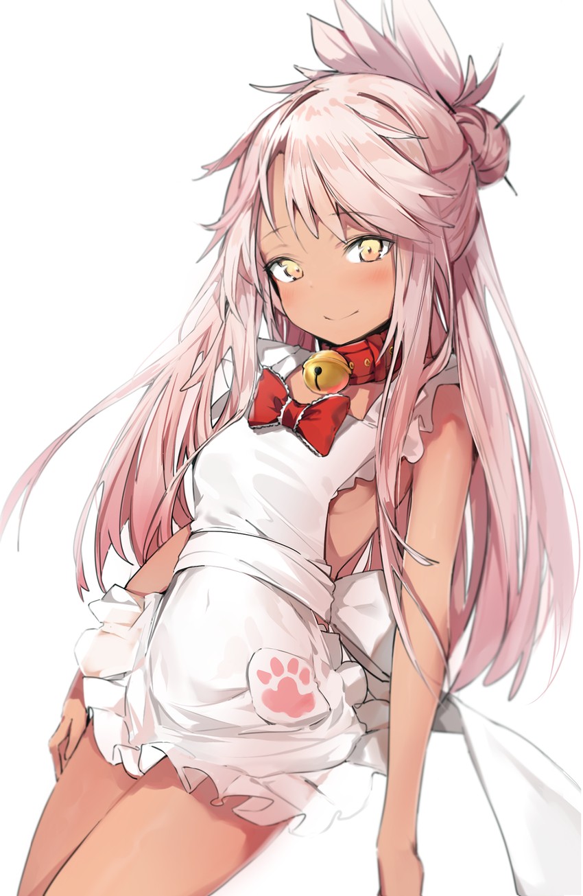 tamamo, chloe von einzbern, and tamamo cat (fate and 1 more) drawn by silver_(chenwen)