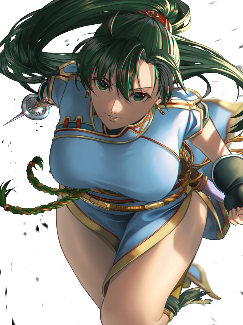 lyn (fire emblem and 1 more) drawn by delsaber