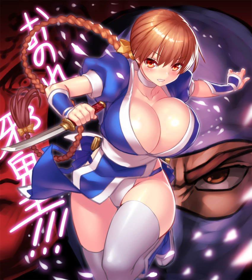 kasumi and ryu hayabusa (dead or alive) drawn by yapo_(croquis_side)