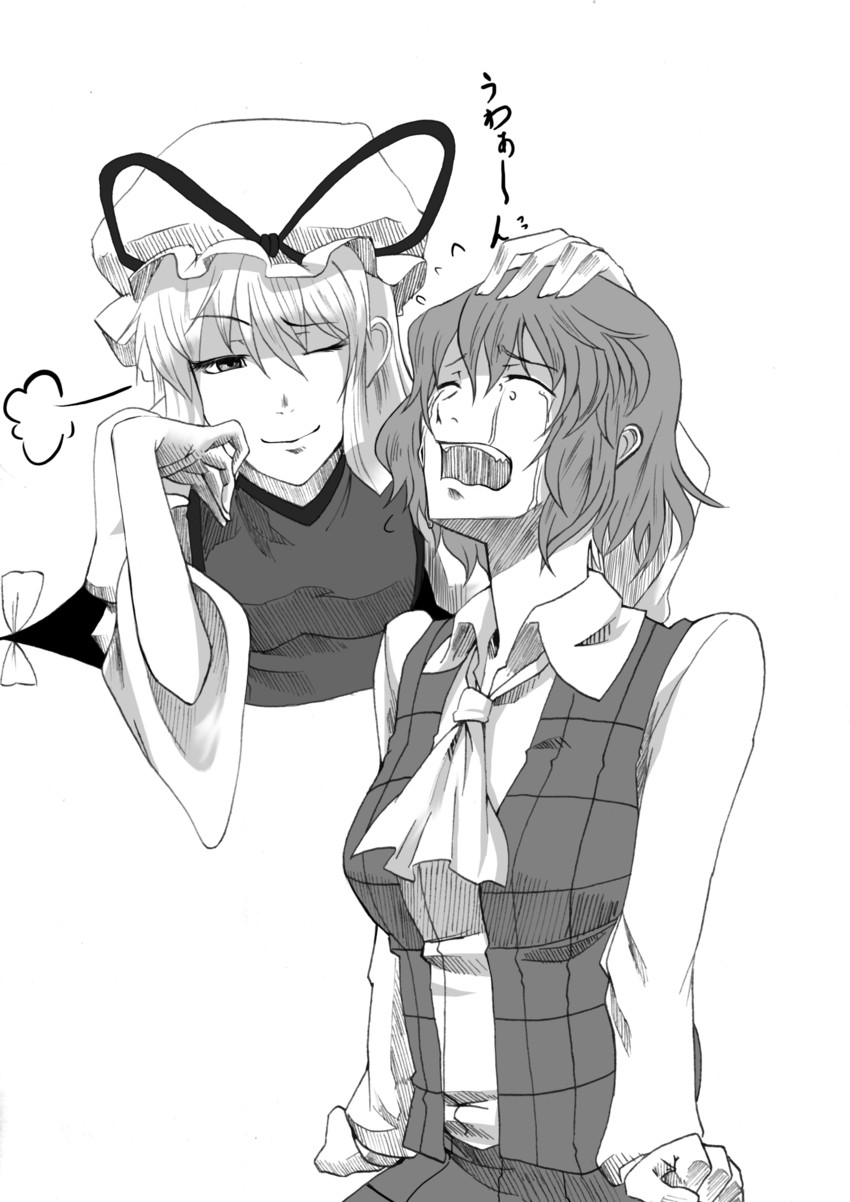 yakumo yukari and kazami yuuka (touhou) drawn by scottie_(phantom2)