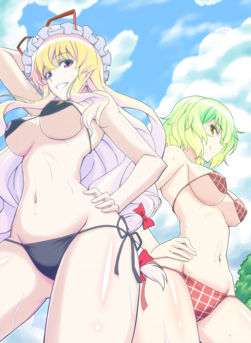 yakumo yukari and kazami yuuka (touhou) drawn by h-new