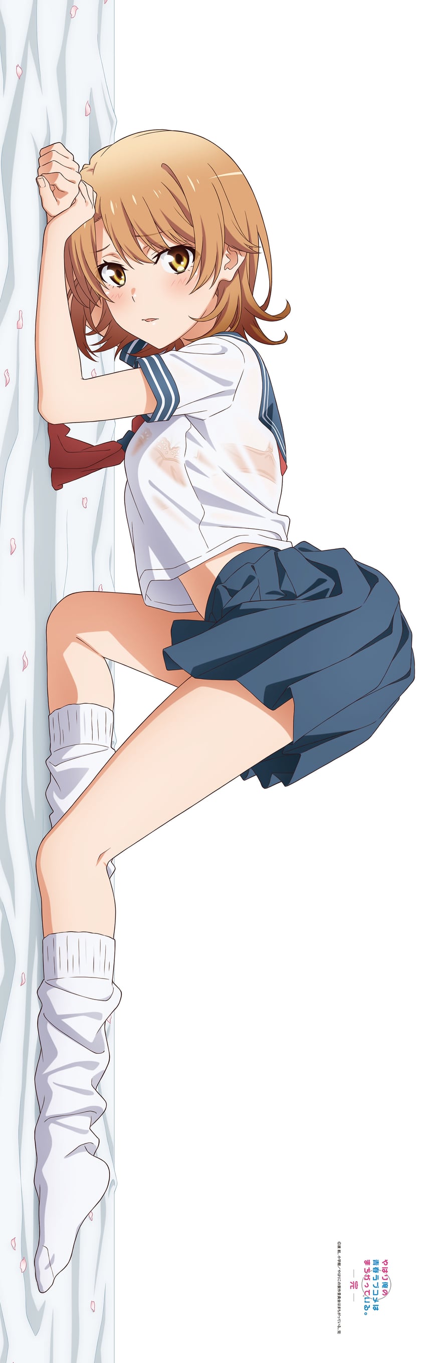 isshiki iroha (yahari ore no seishun lovecome wa machigatteiru.)