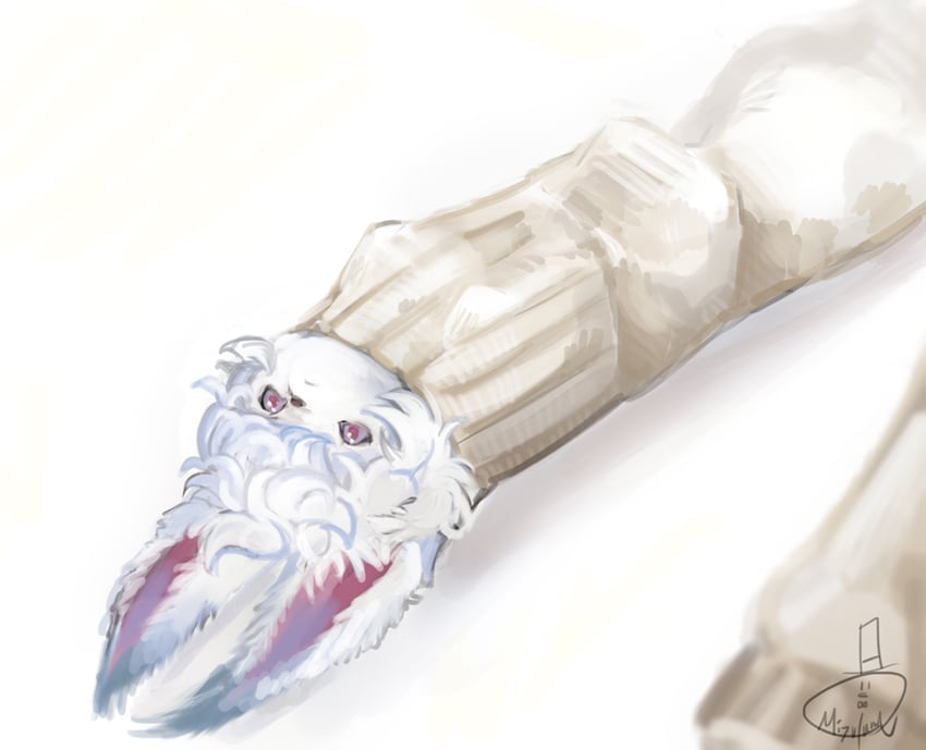 fou (fate and 1 more) drawn by mizutame_tori