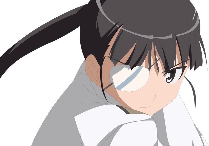 sakamoto mio (world witches series and 1 more)