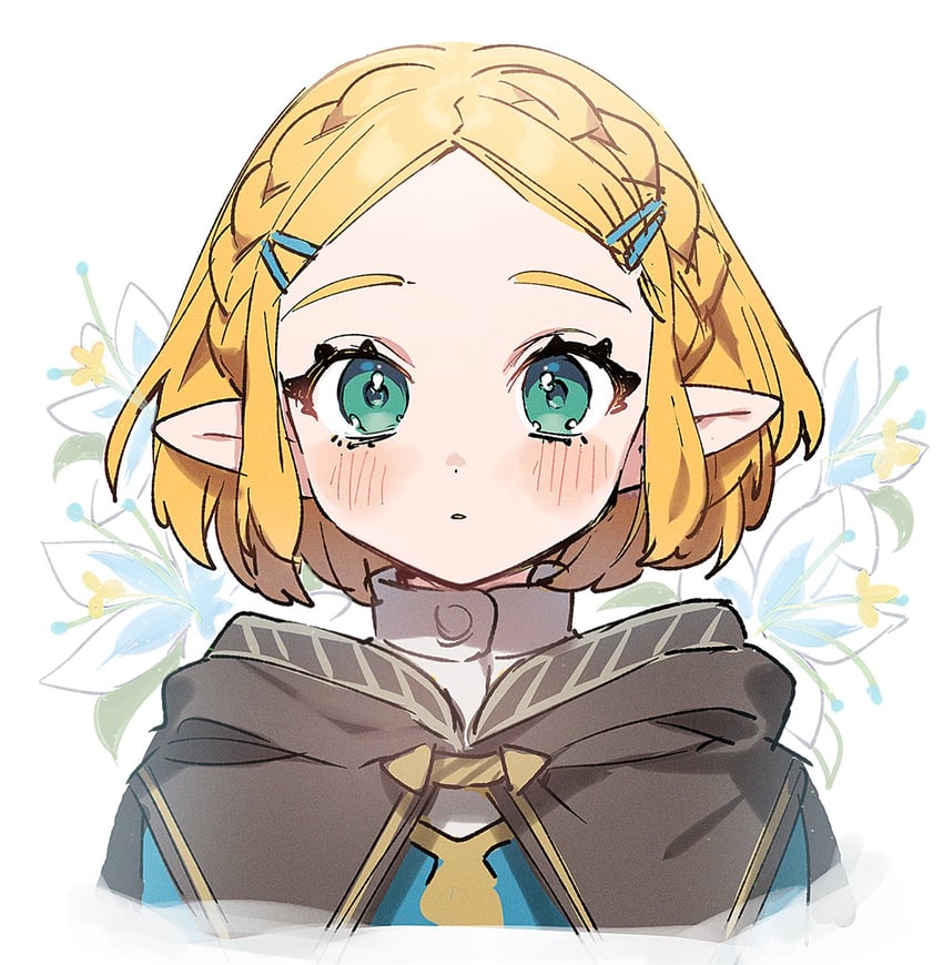 princess zelda (the legend of zelda and 1 more) drawn by sakura_yuki_(clochette)