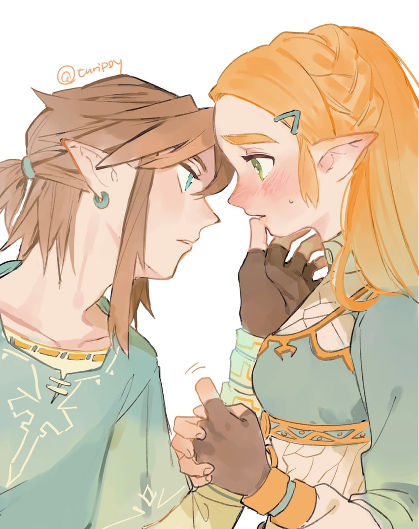 link and princess zelda (the legend of zelda and 1 more) drawn by turippy