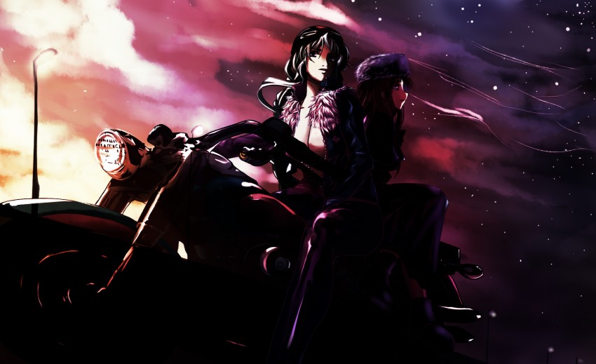 houraisan kaguya and yagokoro eirin (touhou) drawn by dearmybrothers