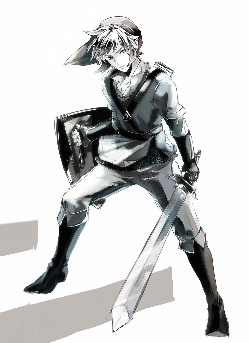 link (the legend of zelda and 1 more) drawn by futami_jun