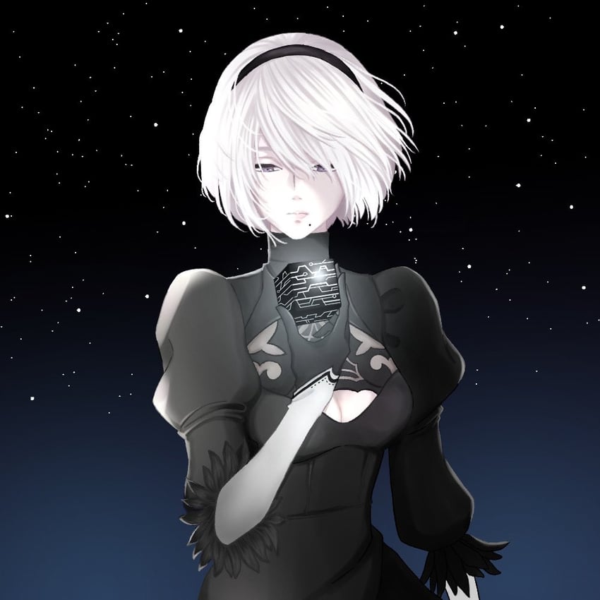2b (nier and 1 more) drawn by ossu_oraaka