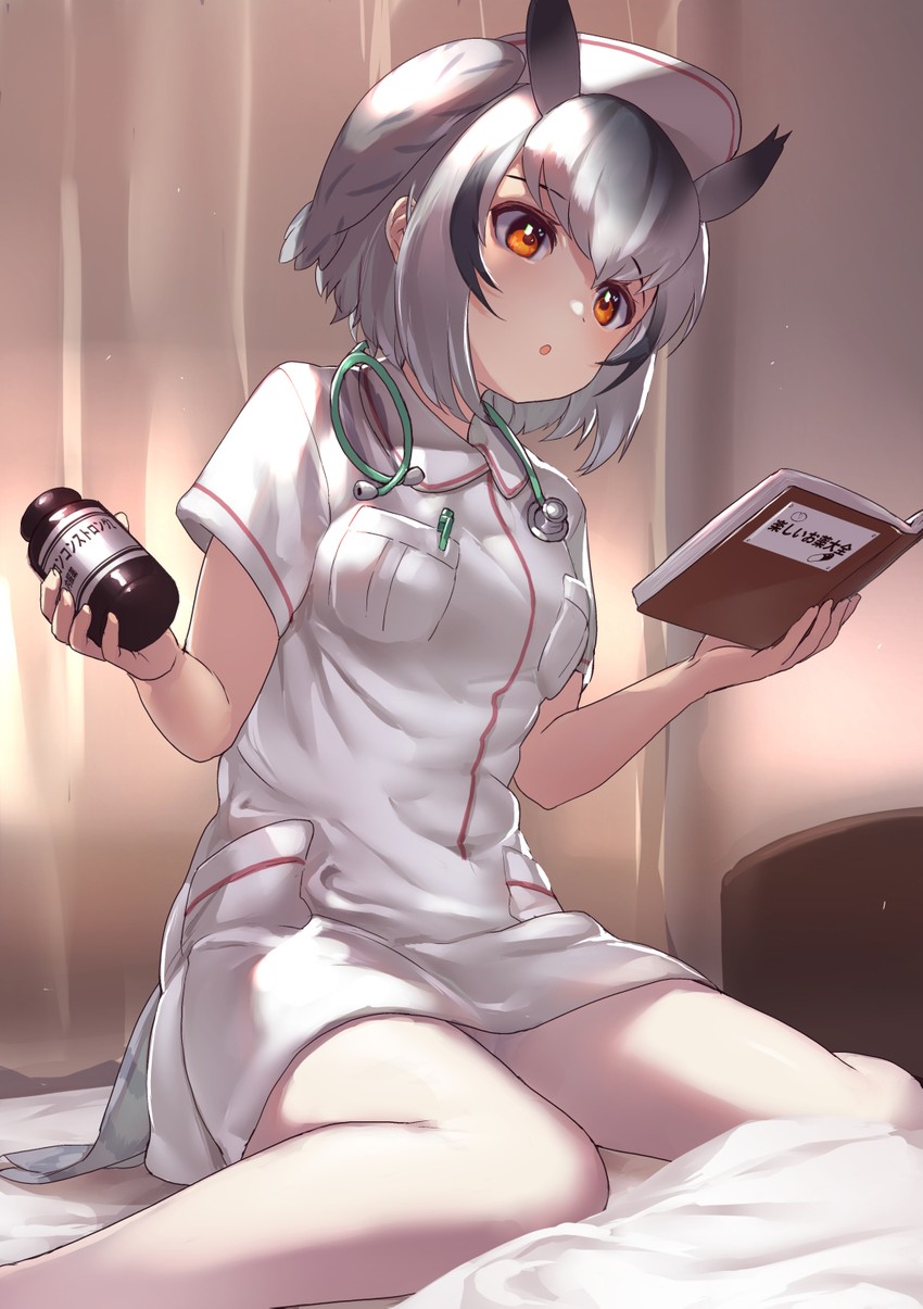 northern white-faced owl (kemono friends) drawn by tadano_magu