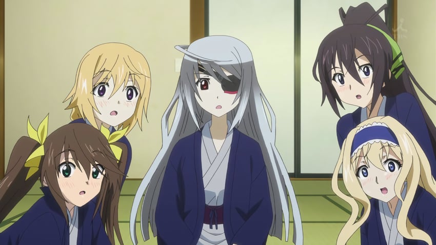 charlotte dunois, cecilia alcott, laura bodewig, shinonono houki, and huang lingyin (infinite stratos)