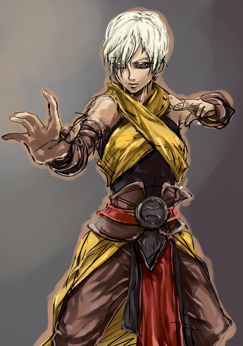 monk (diablo and 1 more) drawn by shishi_(kunou)