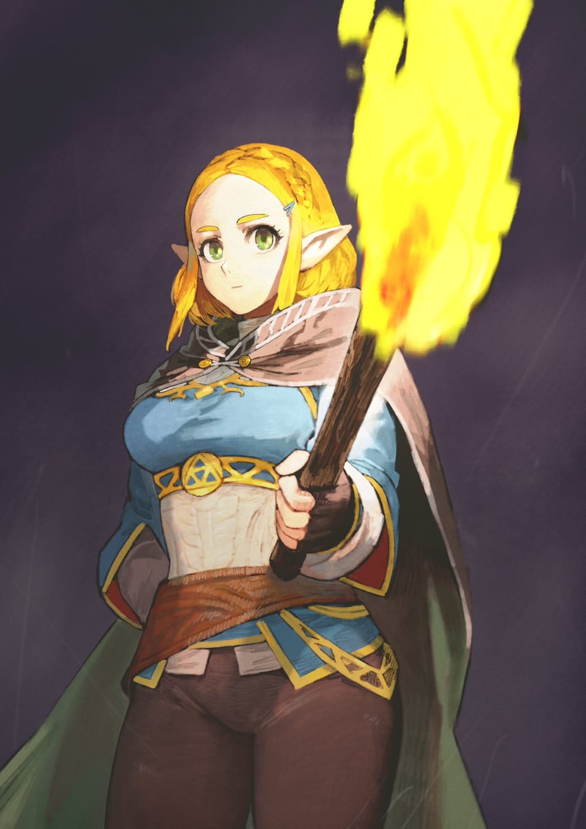 princess zelda (the legend of zelda and 1 more) drawn by jun_(navigavi)
