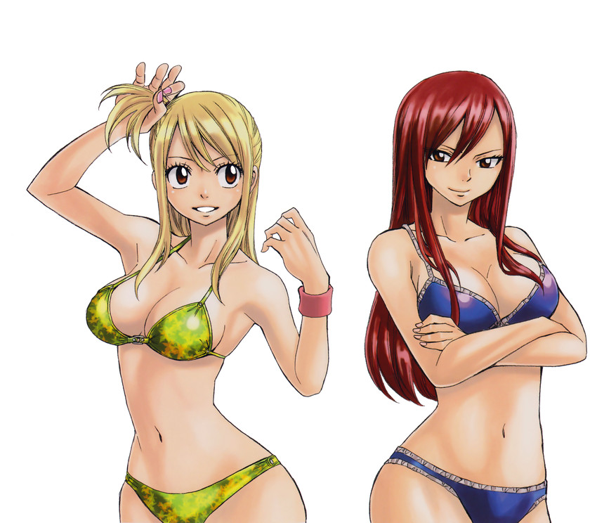 lucy heartfilia and erza scarlet (fairy tail) drawn by mashima_hiro Betaboo...