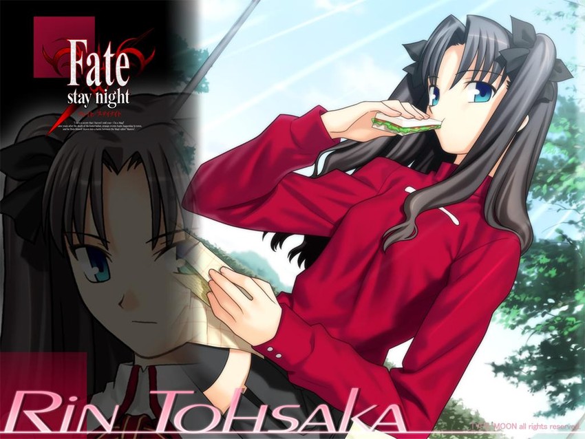 tohsaka rin (fate and 1 more) drawn by takeuchi_takashi
