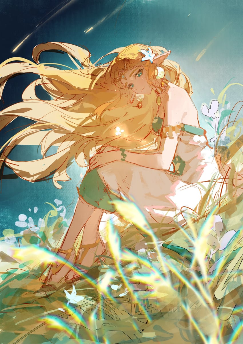princess zelda (the legend of zelda and 1 more) drawn by ludibianyuan
