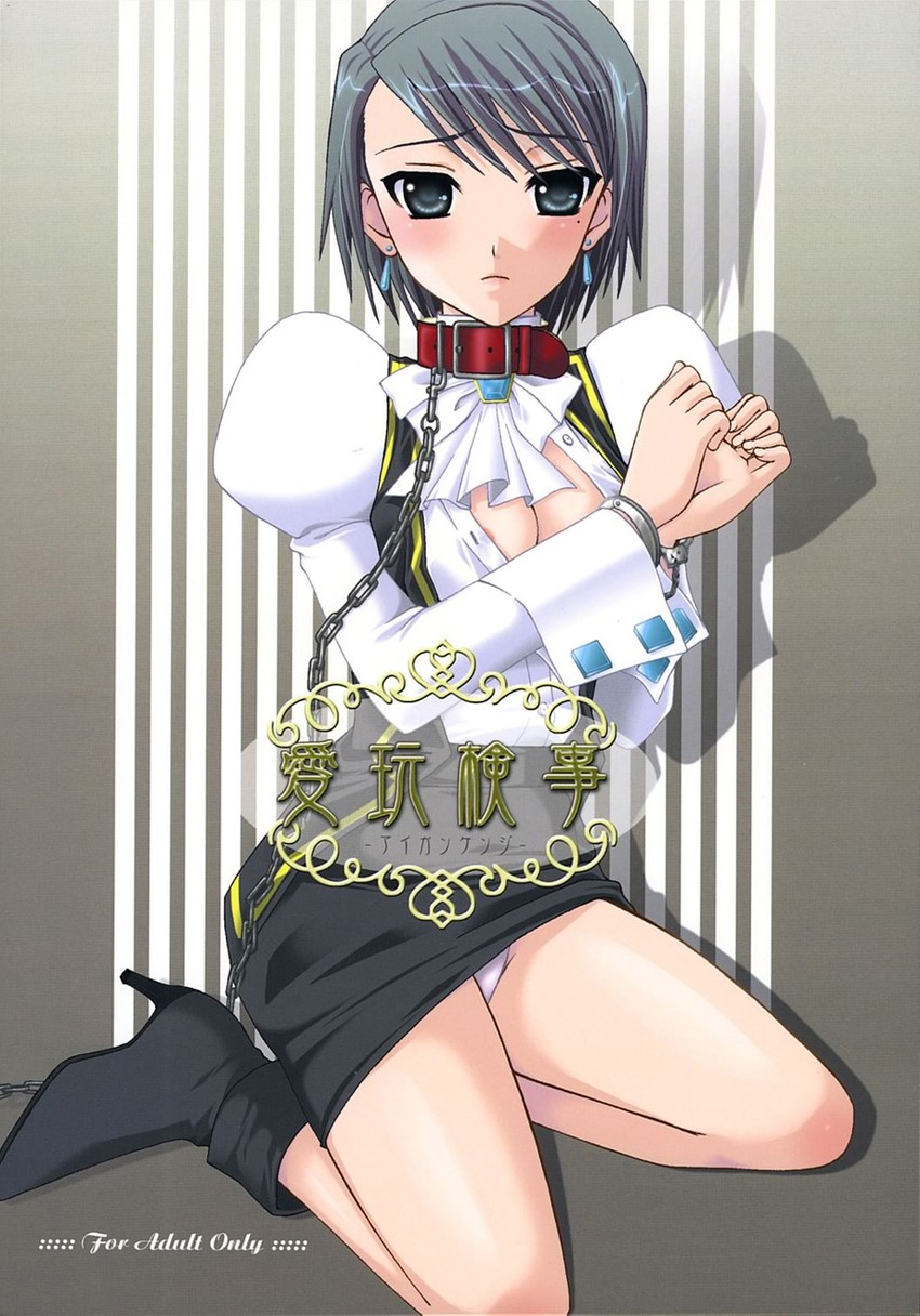 franziska von karma (ace attorney) drawn by okahara_megu
