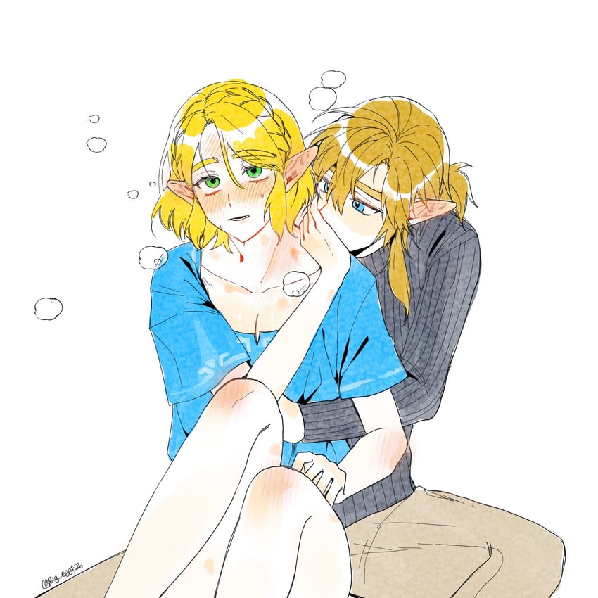 link and princess zelda (the legend of zelda and 1 more) drawn by big_egg526