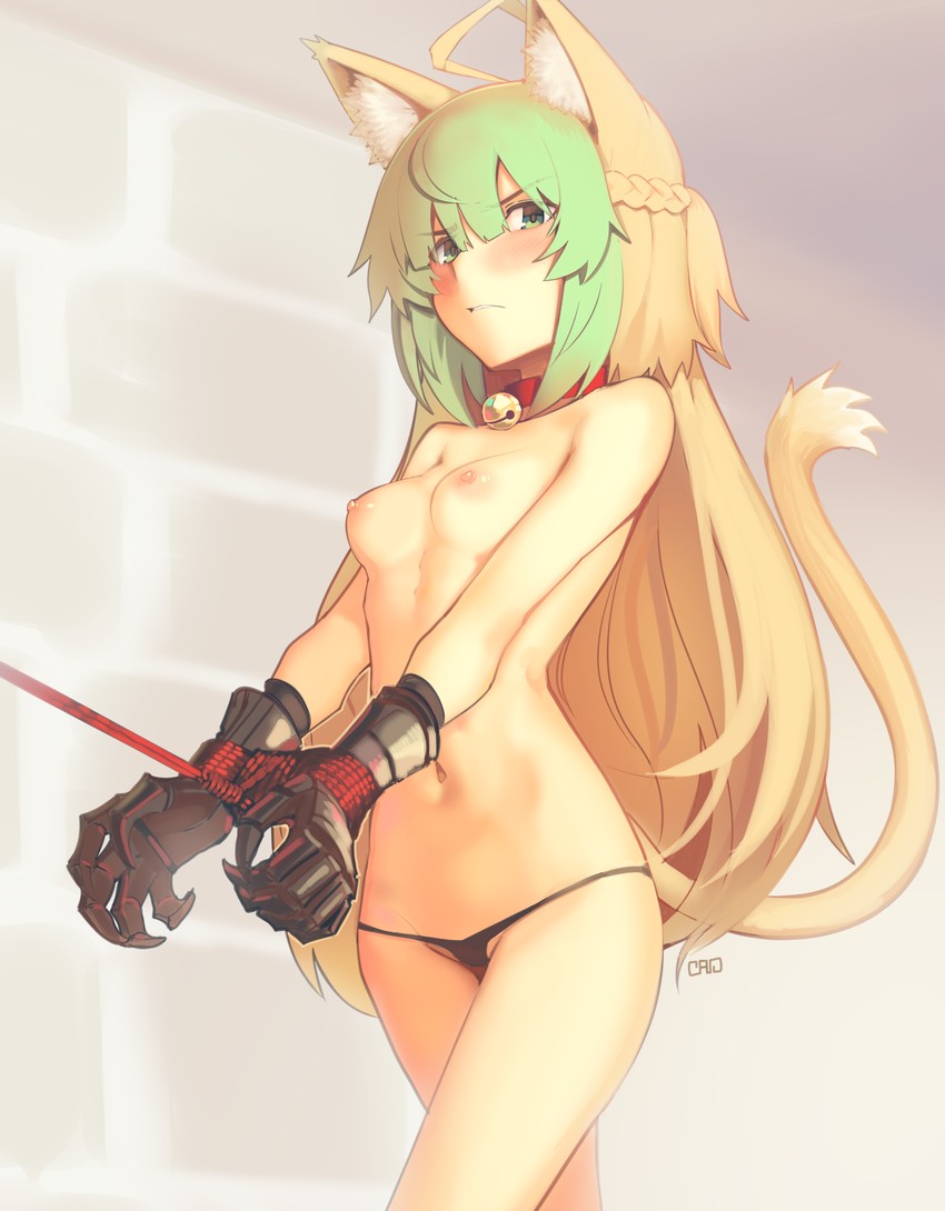 atalanta (fate and 1 more) drawn by cad_(caddo)