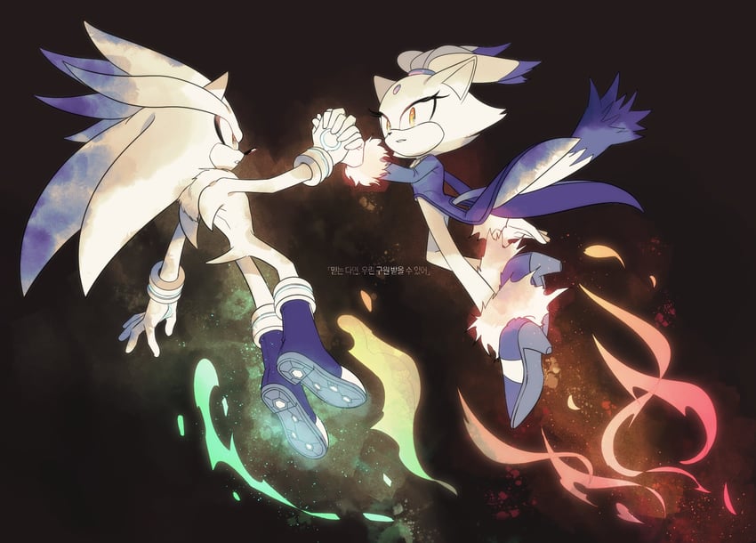 blaze the cat and silver the hedgehog (sonic and 1 more) drawn by nisibo25