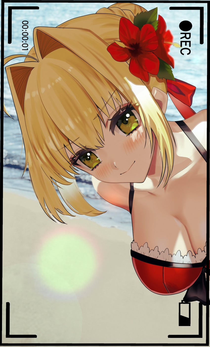 nero claudius (fate and 1 more) drawn by kabosoi_mangaka