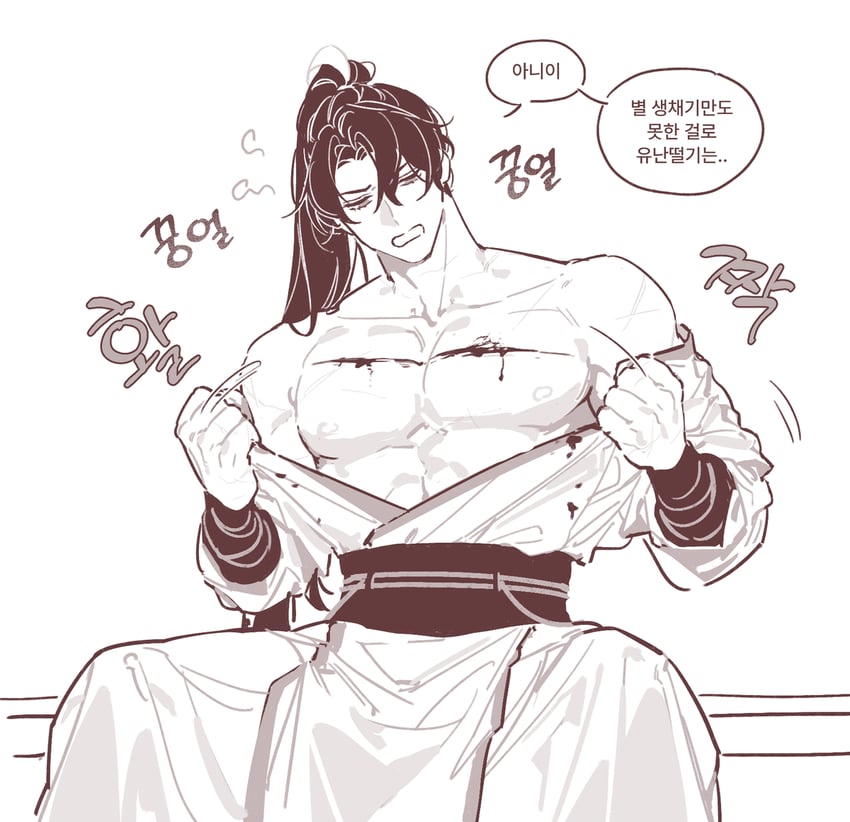 cheongmyeong (return of the mount hua sect) drawn by wolgang