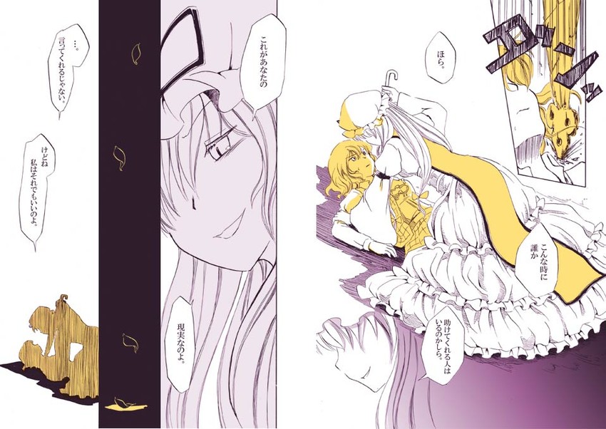 yakumo yukari and kazami yuuka (touhou) drawn by shiroaisa