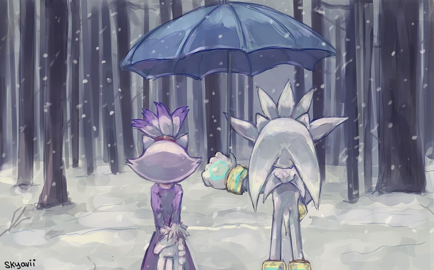 blaze the cat and silver the hedgehog (sonic) drawn by skyavii_sonic