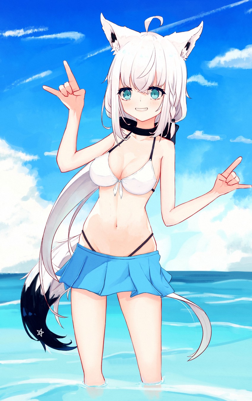 shirakami fubuki (hololive and 1 more) drawn by shirotoma